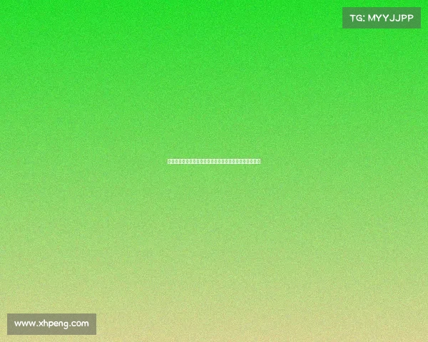 网球赛事全方位观赛指南助你轻松掌握比赛规则与精彩瞬间